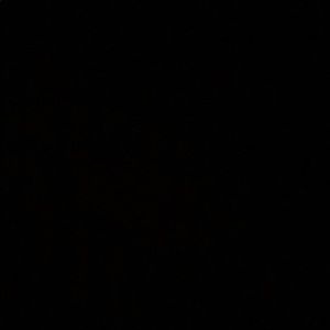 Meet your Posher, Hector